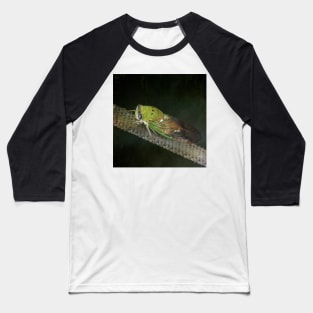 Cicada - Cicadoidea - Green - Insect Baseball T-Shirt